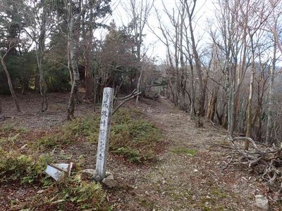 PC030031.jpg (115.08 KiB) 閲覧された回数 7915 回 花抜峠