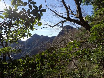 PC030025.jpg (109.93 KiB) 閲覧された回数 7915 回 奥坊主(右)と口坊主(左)