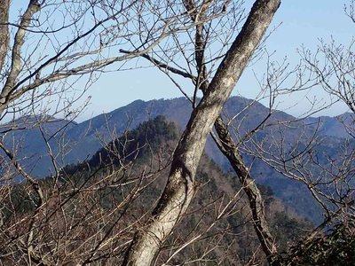 PC030022.jpg (109.9 KiB) 閲覧された回数 7907 回 花抜山(ハナノキ山)(手前)と仙千代ヶ峰(奥)