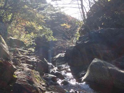 PC030013.jpg (67.25 KiB) 閲覧された回数 7916 回 小木森谷30m落ち口