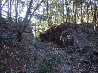 PC030009.jpg (119.72 KiB) 閲覧された回数 7907 回 切通し