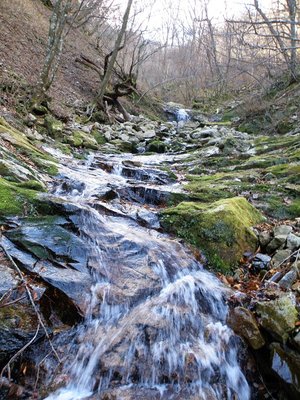 東千石へ突き上げる谷
