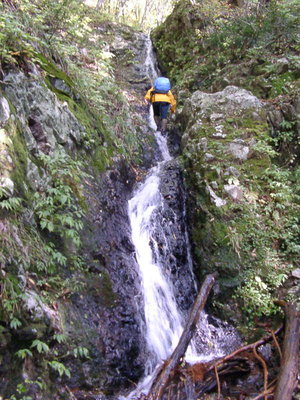 貫井谷の山日和氏（一昔前の）