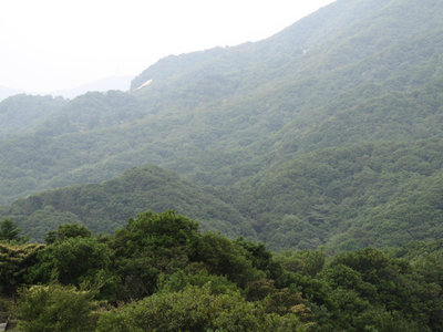 IMG_4072.jpg (191.23 KiB) 閲覧された回数 7719 回 白谷越までは遠いなあ