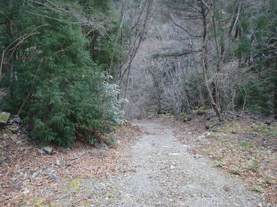 PC110084.jpg (112.44 KiB) 閲覧された回数 6697 回 白倉林道