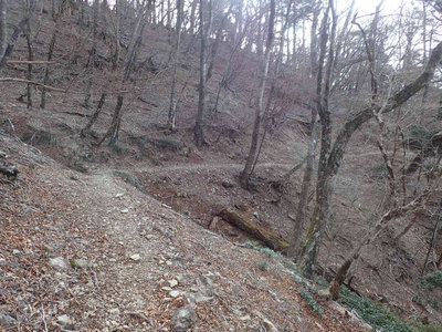 PC110050.jpg (123.79 KiB) 閲覧された回数 6909 回 尾鷲道