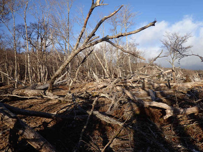 PC110039.jpg (108.59 KiB) 閲覧された回数 6909 回 P1344付近