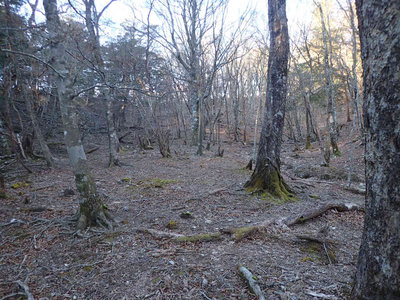 1215m付近鞍部（桃源郷）