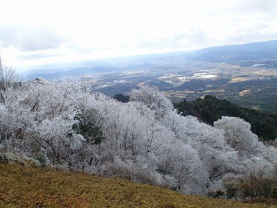 resizePC157322.jpg (203.37 KiB) 閲覧された回数 5686 回 山頂から伊賀盆地を望む