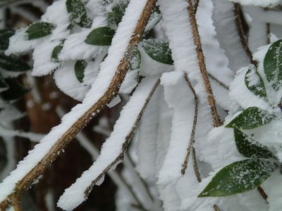 resizePC157329.jpg (136.99 KiB) 閲覧された回数 5686 回 南峰にて