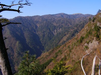 1174付近から、男滝遠望。