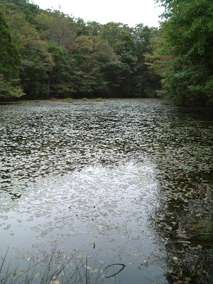 ノタノホリ（暑くても水泳禁止！）