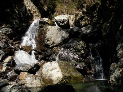 わたしが撤退した場所。<br />２月に入ってました(^^;。