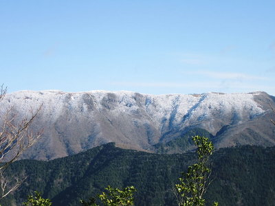 好い樹氷が咲いてましたね