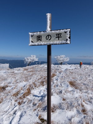 後ろに写っているのがその人です