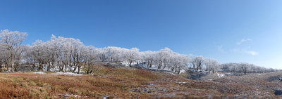 こういう方がお好み？