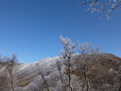 西側と対照的な東側斜面