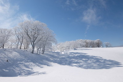 2年前はこうでした