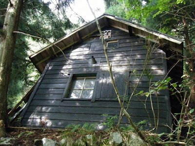 どっかの大学管理？倒壊してる