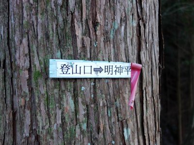 ここに出合いました。