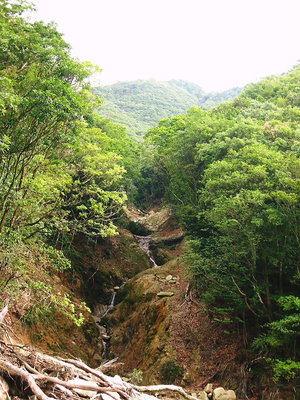 ● 日陰谷はスッキリしたよ
