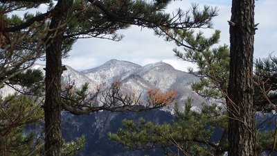 PC310678.jpg (185.95 KiB) 閲覧された回数 12346 回 途中の尾根から御在所山。なんだかセクシー(^_-)