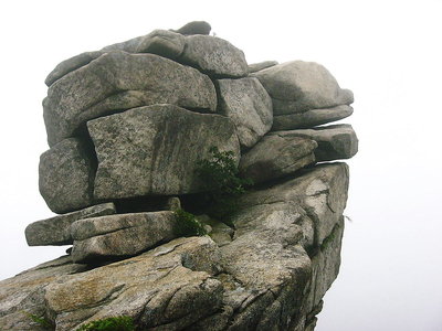 ● タマタマ冷えるよ天狗のお頭