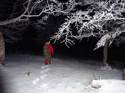 峰さんのブログより拝借