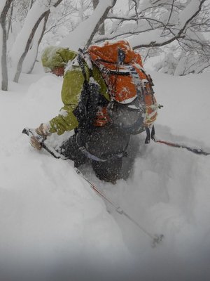 16003062_1101443486650610_5116765084708331557_n.jpg (75.86 KiB) 閲覧された回数 29133 回 腰まで埋まってのラッセルです(すごい!)