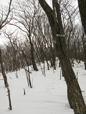 IMG_1616.jpg (383.41 KiB) 閲覧された回数 5028 回 白船峠