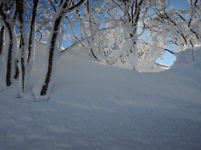 前に立ちはだかる雪の壁。ああっどうしてここに？