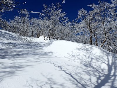 県境尾根.jpg (348.79 KiB) 閲覧された回数 6741 回 県境尾根