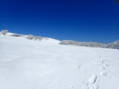 広く見える庭園