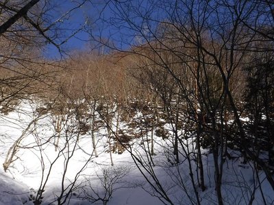 谷から5ｍ上は雪が無い。