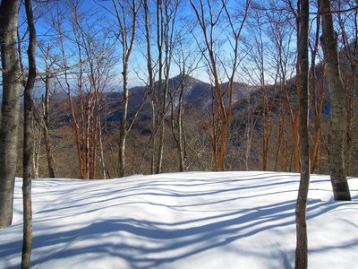 迷岳手前から見る口迷岳。