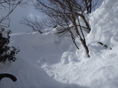 P2110018_512.jpg (35.57 KiB) 閲覧された回数 6297 回 雪の壁