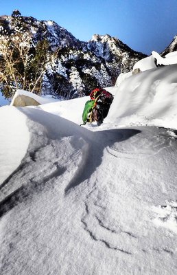 2.jpg (187.11 KiB) 閲覧された回数 4914 回 小屋上部での胸ラッセル