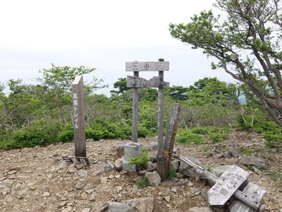 無雪期はこんなんです