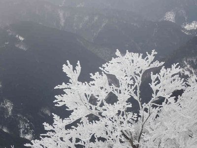 P2190154.jpg (56.94 KiB) 閲覧された回数 5739 回 樹氷
