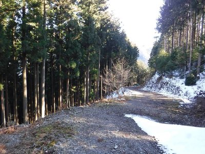 ヌタハラ林道のここから木馬道（檜塚山腹道）が続いています。