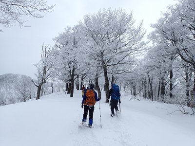 P2260208.JPG (449.03 KiB) 閲覧された回数 7999 回 西峰から東峰に向かいます