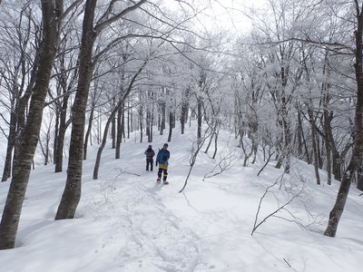 P2260227.JPG (528.27 KiB) 閲覧された回数 7998 回 北西尾根を降ります