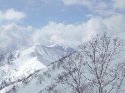 P2260098.jpg (55.74 KiB) 閲覧された回数 6766 回 小白山を望む