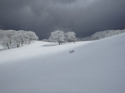 久しぶりに御池の女神が微笑んだ！