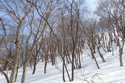 まあまあ、ええとこです。