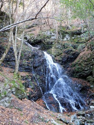 PC040317_800.jpg (278.69 KiB) 閲覧された回数 12208 回 スダレ滝の上の滝…落ち口は見えない。