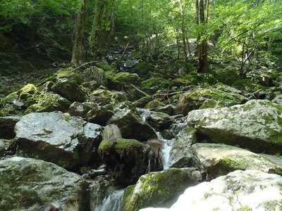 ７月２３日のCo930三俣の左俣（水流あり）