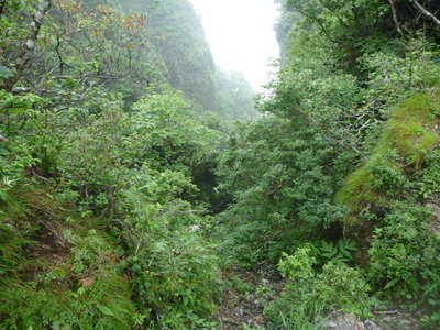 上から見たらこんな感じ