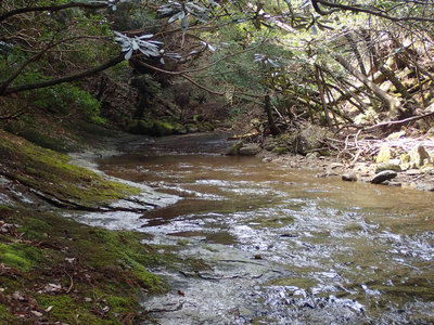 P4020123.jpg (129.68 KiB) 閲覧された回数 7698 回 延々と続くナメ