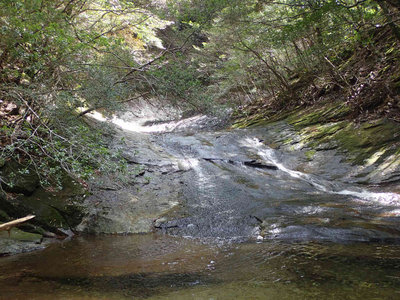 P4020091.jpg (121.39 KiB) 閲覧された回数 7698 回 美しいナメ